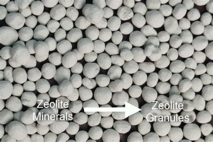 Is zeolite good for goldfish?