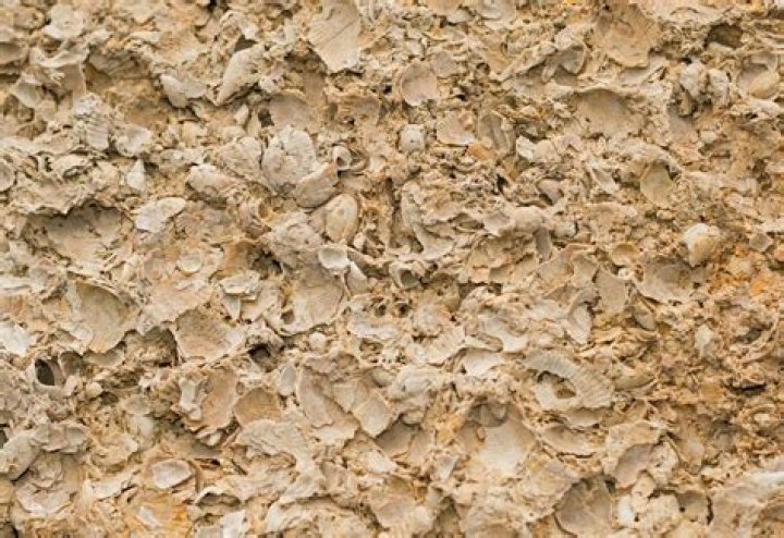 Where is coquina found?